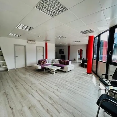 Kobra Für Gruppen Perfekt Geeignet